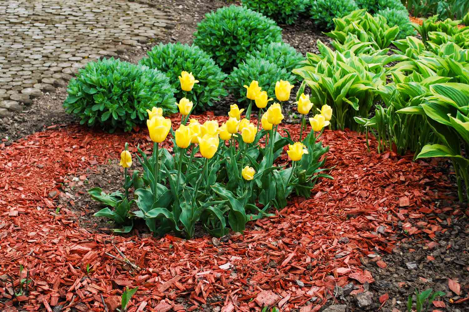 Mulching & Bed Maintenance